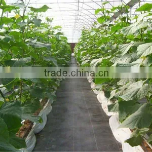 Newest Weed Barrier /weed Control Fabric thumbnail-6