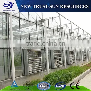 High Quality Polycarbonate/ PC Greenhouse With Hydroponic System &shading System thumbnail-2