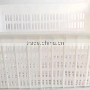 Large White Vegetable Crate V-001 thumbnail-1