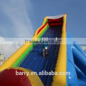 China Cheap Price Inflatable Giant Inflatable Water Slide for Adult thumbnail-4