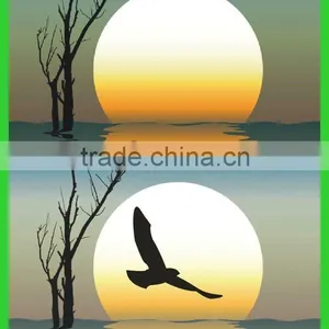 New Innovative Products 2012 Polarized Test Card thumbnail-1