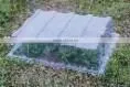 Plastic Propagator Dome thumbnail-1
