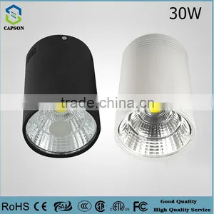 3years Rosh CE Auminum Downlight LED 30W Slim Led Down Light thumbnail-2