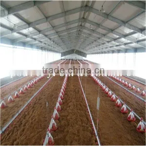 Hot Sale!!! Modern Chicken Poultry Farm House Turnkey Overall Design and Building thumbnail-1