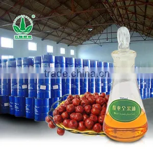 Factory Provide Chinese Wild Red Jujube Oil thumbnail-1