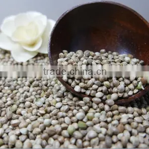 Hemp Seeds With High Quality 2016 Crop thumbnail-1