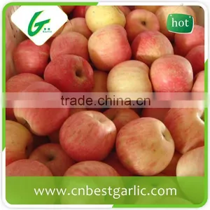 Fresh Fuji Apple With Good Quality thumbnail-1