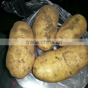 Hot Season of Potato thumbnail-1