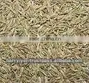 Cumin Powder thumbnail-1