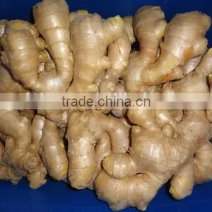 Yellow Color Fresh Ginger thumbnail-2