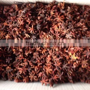 VIETNAM SPRING STAR ANISEED thumbnail-1