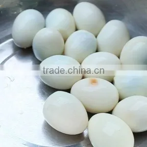 FT-200 Electrical Hen Egg Shelling Machine thumbnail-6
