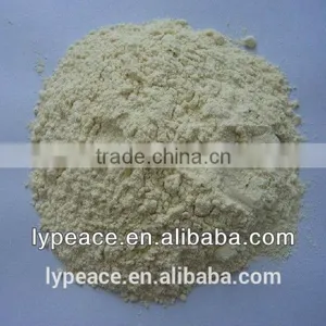 Wholesale Light Yellow Healthy 6% Max Dried Garlic thumbnail-2