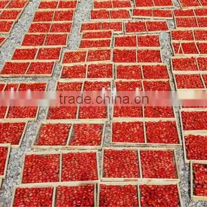 China Sun Dried Tomatoes thumbnail-4