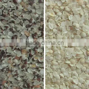 2017 Intelligent Image Double Side Ccd Camera Bean Sorting Machine thumbnail-4