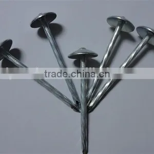 Roofing Nail With Umbrella Head China Nails Supplier From Linyi thumbnail-2