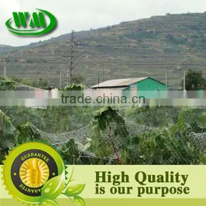 2014 Hot Sale Hdpe Anti Bird Net thumbnail-3