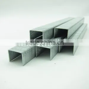 21GA 8004 Staple thumbnail-2