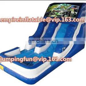High Quality Inflatable Water Slide Medium Slide for Kids Play ID-SLM078 thumbnail-1
