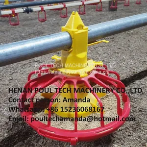 Libya Poultry Farm Equipment Automatic Broiler Floor Raising System & Chicken Deep Litter System With Automatic Drinking& Feeding System in Chicken Coop thumbnail-1