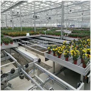 Seedbed thumbnail-3