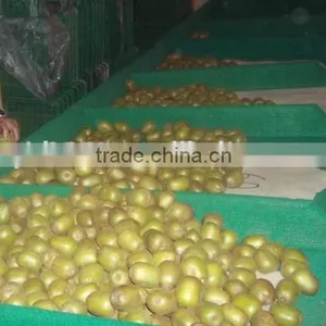 Commercial Orange Grading Machine/lemon Sorting Machine/kiwi Sorter Machine thumbnail-2