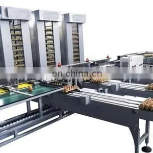 Egg Production Line/ Egg Washing Cleaning Drying Printing Grading Production Line thumbnail-5
