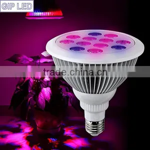 Greenhouse Red Blue E27 24w 12w Led Grow Light 24w 12w E27 Led Grow Lights for Indoor Plants thumbnail-5
