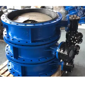 DN 800 Cast Iron Ductile Iron Double Flange Butterfly Valve PN 10 PN16 Low Pressure Butterfly Valve for Municipal Sewage Worm Gear Operated thumbnail-4