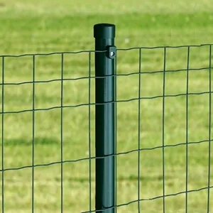 Premium Vegetable Plant Protection Netting for Effective Pest Control thumbnail-2