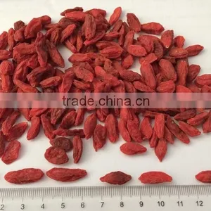 Chinese Wolfberry thumbnail-2