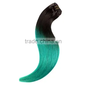 100g, 220g Remy Clip in Human Hair Extensions for White Women Supplier's Choice thumbnail-1