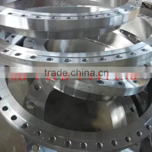 Alloy 20 ASTM B366 Plate Flange Forged Flange Weld Neck Flanges Series A or B thumbnail-1
