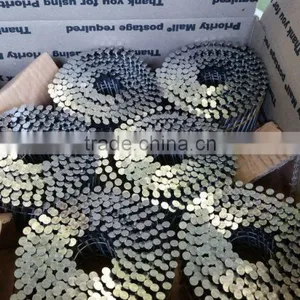 Supply Galvanized Roofing Coil Nails / Coil Nail thumbnail-1