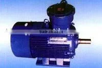 YB2-W Series Explosion-proof Three-phase Asynchronous Motor thumbnail-1