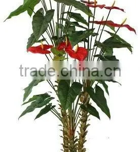 Artificial Flower Tree ,artificial Anthura Plants,Christmas Flower Plant thumbnail-1
