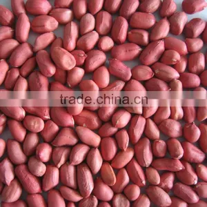 Blanched Peanut Kernels thumbnail-1
