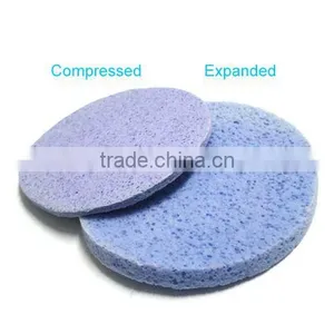 Cellulose Compressed Sponge thumbnail-1