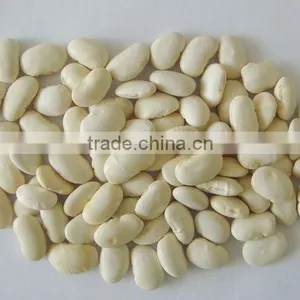 White Kidney Bean P.E thumbnail-1