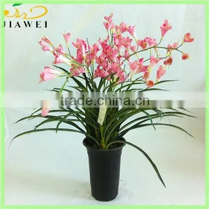 Wholesale Potted Freesia Bonsai for Table Decoration thumbnail-1