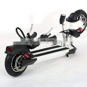 36V 800W Electric Skateboard 2 Wheel City Foldable Chariot for Sale thumbnail-5