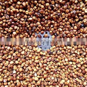 Red Sorghum With Best Price thumbnail-2