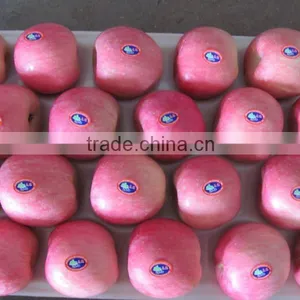 Chinese Red Fuji Apple in 20kg Cartons thumbnail-1