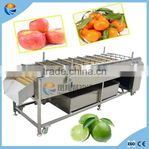 Industrial Watermelon/Orange/Apple Washing Machine With Roller Brushes thumbnail-1