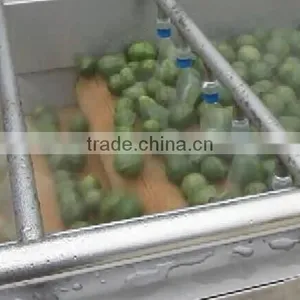 Full Automatic Industrial Vegetable And Fruit Washing Washer and Drying Dryer Machine thumbnail-6