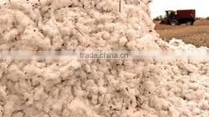 Seller For Raw Cotton thumbnail-1