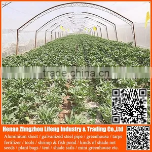 Top Product pe Greenhouse Anti Insect Proof Net , Plastic Vegetable Anti Insect Net , Nylon Agricultural Anti Insect Net thumbnail-2