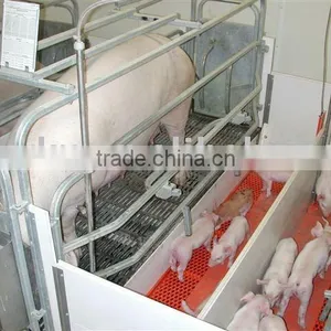 Farrowing Crate thumbnail-1