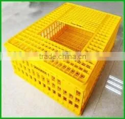 New Condition Poultry Plastic Transport Crate/box/cage for Chicken thumbnail-1
