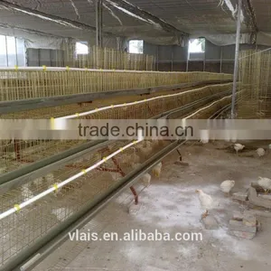 Chicken Adult Cage on Sale. thumbnail-3